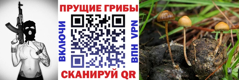 Галлюциногенные грибы GOLDEN TEACHER  Отрадное 