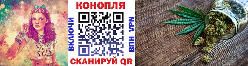 Шишки марихуана гибрид нарко площадка как зайти Отрадное купить наркоту ссылка на мегу ссылка